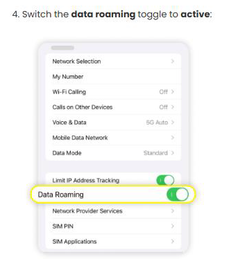 Sailyのヘルプ記事で、iPhoneのデータローミングのスイッチをオンにする英語表記の画面